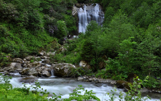 Waterfall forest stream trees rocks - a waterfall in a forest free wallpaper