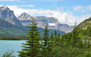 Mountain lake trees snowy horizon - ancell stronach free wallpaper