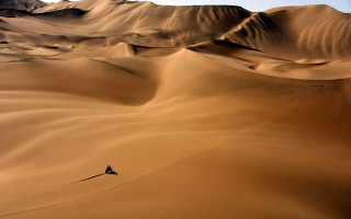Desert walker sand dunes sunset - a desert free wallpaper for desktop