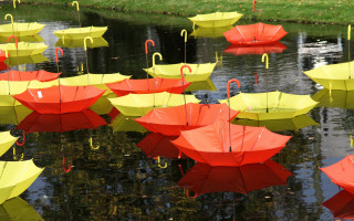 Floating umbrellas water green grass - a green grass free wallpaper