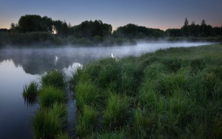 Misty river birds fog forest - a few bird free wallpaper