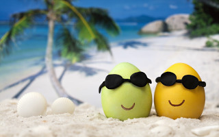 Eggs sunglasses beach palm sky - free bikini wallpaper