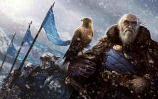 Bearded man bird outdoors snow - epic fantasy character art free wallpaper for desktop