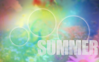 Blurry flower field summer vibrancy - summer vibrancy free wallpaper