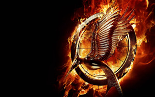 Fire bird clock embers flame - clock free wallpaper for desktop