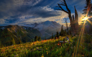Mountain sunset forest lake river - crepuscular free wallpaper for desktop
