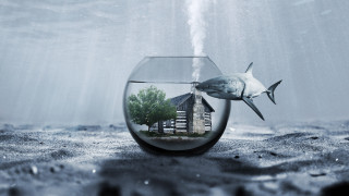 Fish house shark ocean mountains - a shark free wallpaper