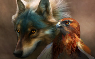 Bird wolf furry digital painting - the other side of the image free wallpaper