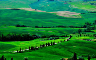 Green landscape hills trees house - far free wallpaper