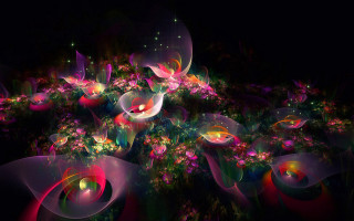 Flowers butterfly mystical light abstract - anton graff free wallpaper