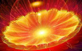 Bright yellow flower red background - yellow flower free wallpaper