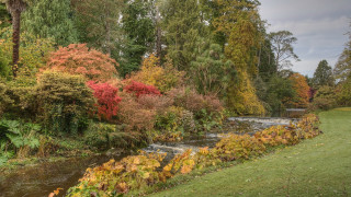 Autumn forest river nature puzzle - lush free wallpaper