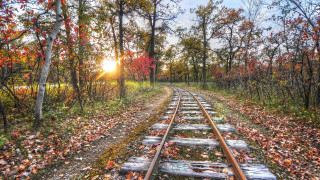 Train track sunset autumn leaves - a train track free wallpaper