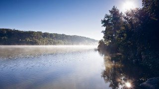 Lake foggy shore forest sunset - a few tree free wallpaper