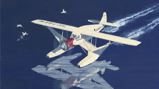 Small plane birds flying over - a plane in the air free wallpaper
