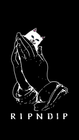 Black white cat ripndip chest - david rudnick free wallpaper