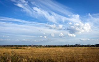 Field clouds houses trees landscape - landscape free wallpaper