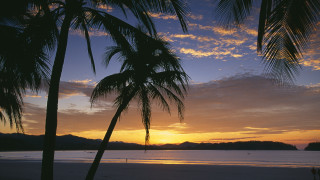 Sunset palm trees beach mountain - the water and a mountain in the distance free wallpaper