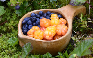 Wooden spoon blueberries oranges ecological - akseli gallenkallela free wallpaper for desktop