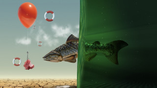 Fish balloon planet sky star - a fish free wallpaper