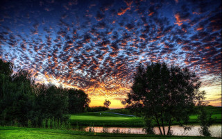 Sunset golf course pond trees - a pond and trees free wallpaper