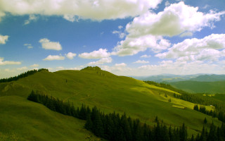 Green hill trees blue sky - a green hill free wallpaper