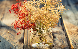 Flower glass jar autumn leaves - a glass jar free wallpaper