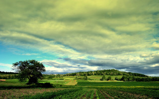 Field tree cloud hill landscape - a hill in the distance free wallpaper