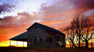 Barn red roof sunset tree - a barn free wallpaper for desktop