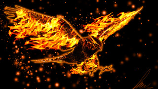 Fiery bird flame wings 3d - its wing free wallpaper