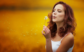 Dandelion blowing woman field yellow - a yellow sky free wallpaper for desktop