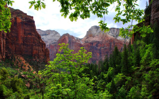 Mountain range trees cloudy sky 8 - a view of a mountain range free wallpaper for desktop