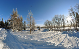 Snowy road forest lake mountain - arkhip kuindzhi free wallpaper