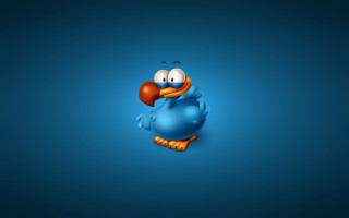 Blue bird big beak orange - a blue bird free wallpaper