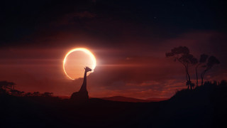 Giraffe sunset sky mountains moon - a giraffe free wallpaper for desktop