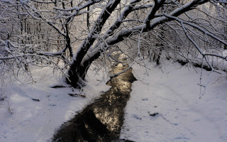 Snowy forest stream footprints bare - a few footprint free wallpaper