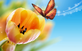 Butterfly yellow flower blue sky - corneille free wallpaper