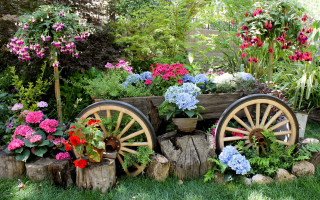 Wagon flowers trees garden fence - flower and trees free wallpaper for desktop