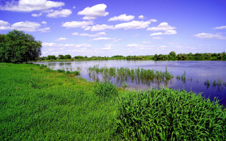River green field clouds bench - a lush green field next free wallpaper for desktop