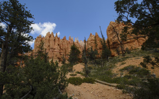 Rocky mountain trees lake sky - ultra wide angle free wallpaper for desktop