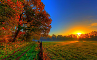 Autumn fence trees sunset landscape - a fence and trees free wallpaper