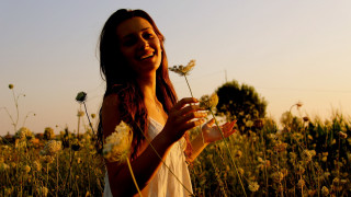 Woman field flower smile sunset - cheerful free wallpaper