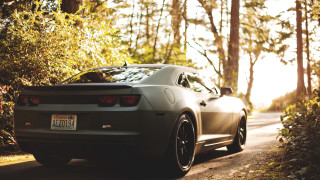 Car woods autumn sunset tiltshift - the background and sunlight free wallpaper