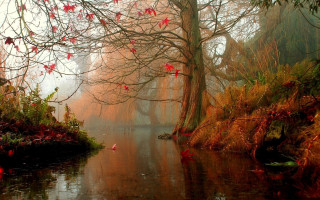 River redflowers redleaves trees impressionism - magical atmosphere free wallpaper