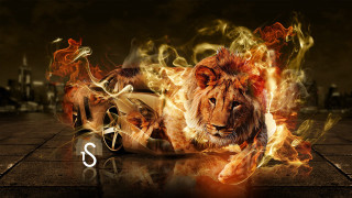 Lion fire breathing embers campfire - a lion free wallpaper