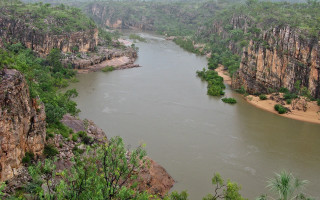 River forest trees rocks sky - free ship wallpaper