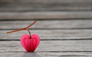 Heart twig wooden surface macro - a wooden surface free wallpaper for desktop