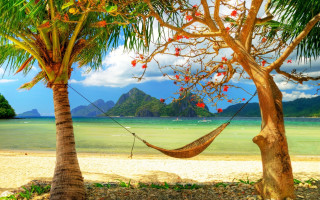 Hammock palm trees beach mountain 4 - a hammock free wallpaper