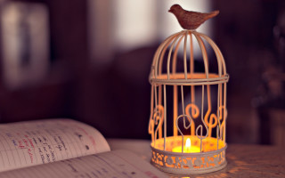 Bird cage candle table book - a storybook illustration free wallpaper