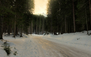 Snowy forest road magic godrays - a road in the middle of a forest free wallpaper
